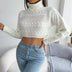 Cable-Knit Turtleneck Cropped Sweater - Minihomy