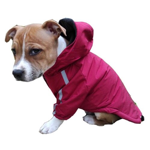 Autumn Winter Pet Dog Waterproof Warm Coat Cotton Hooded Jacket