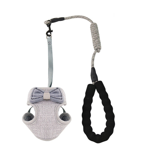Pet chest and back leash