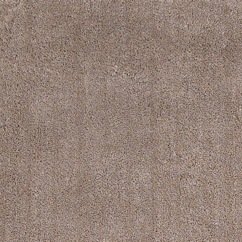 8' X 10'  Polyester Beige Area Rug