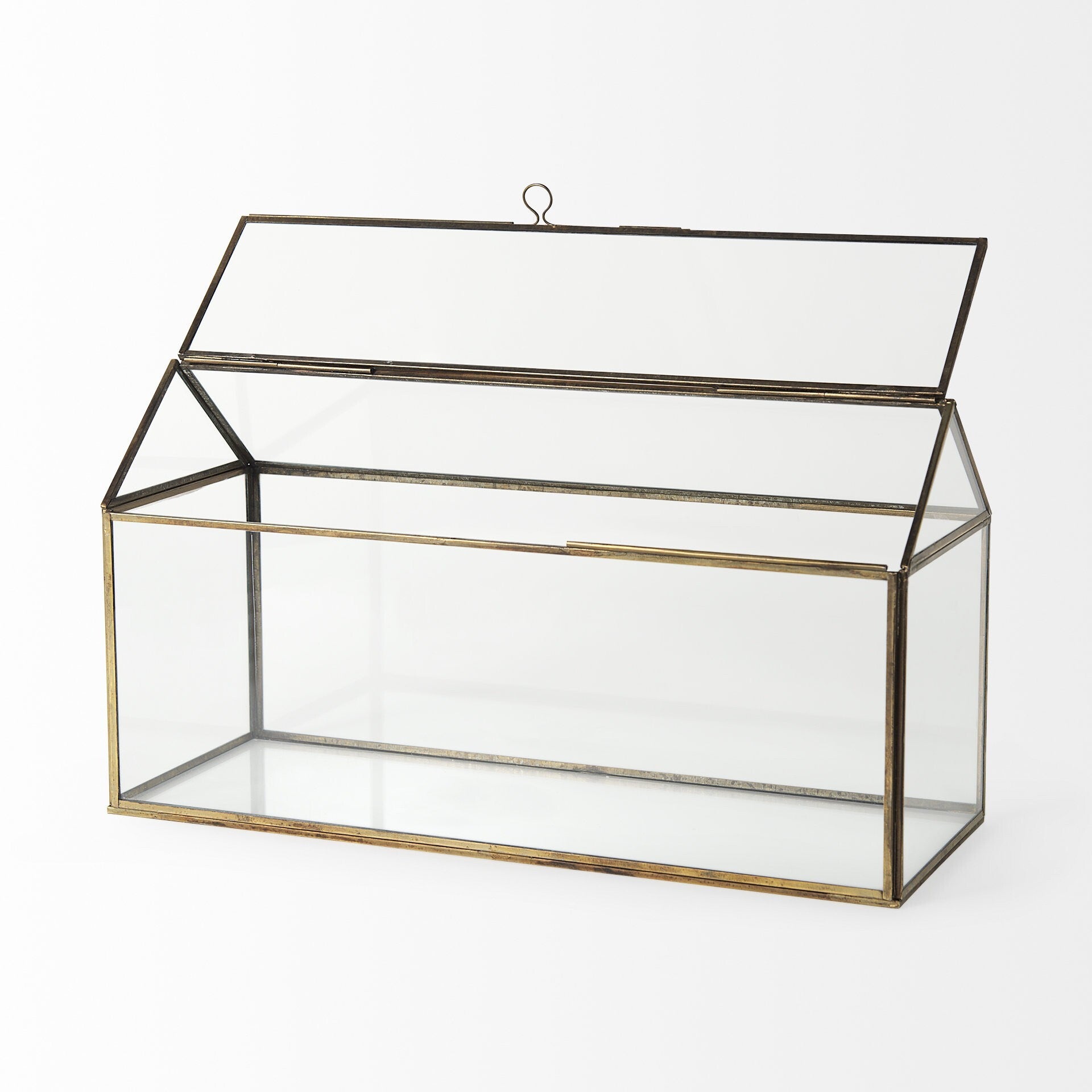 Modern Rustic Gold Metal And Glass Terrarium - Minihomy