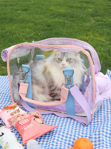 Macaron Transparent Cat Bag Diagonally Across The Cat Beach Bag
