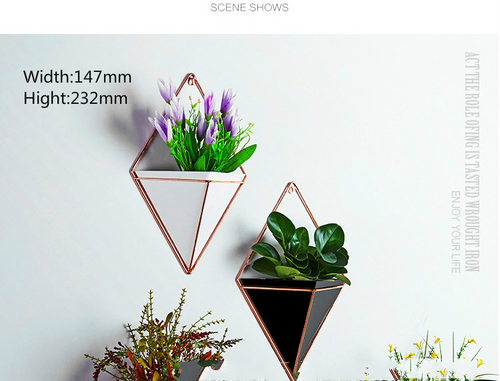 Creative home three-dimensional wall decoration flower pot