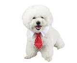 Pet bow tie tie child baby tie cartoon print small tie spot dog tie