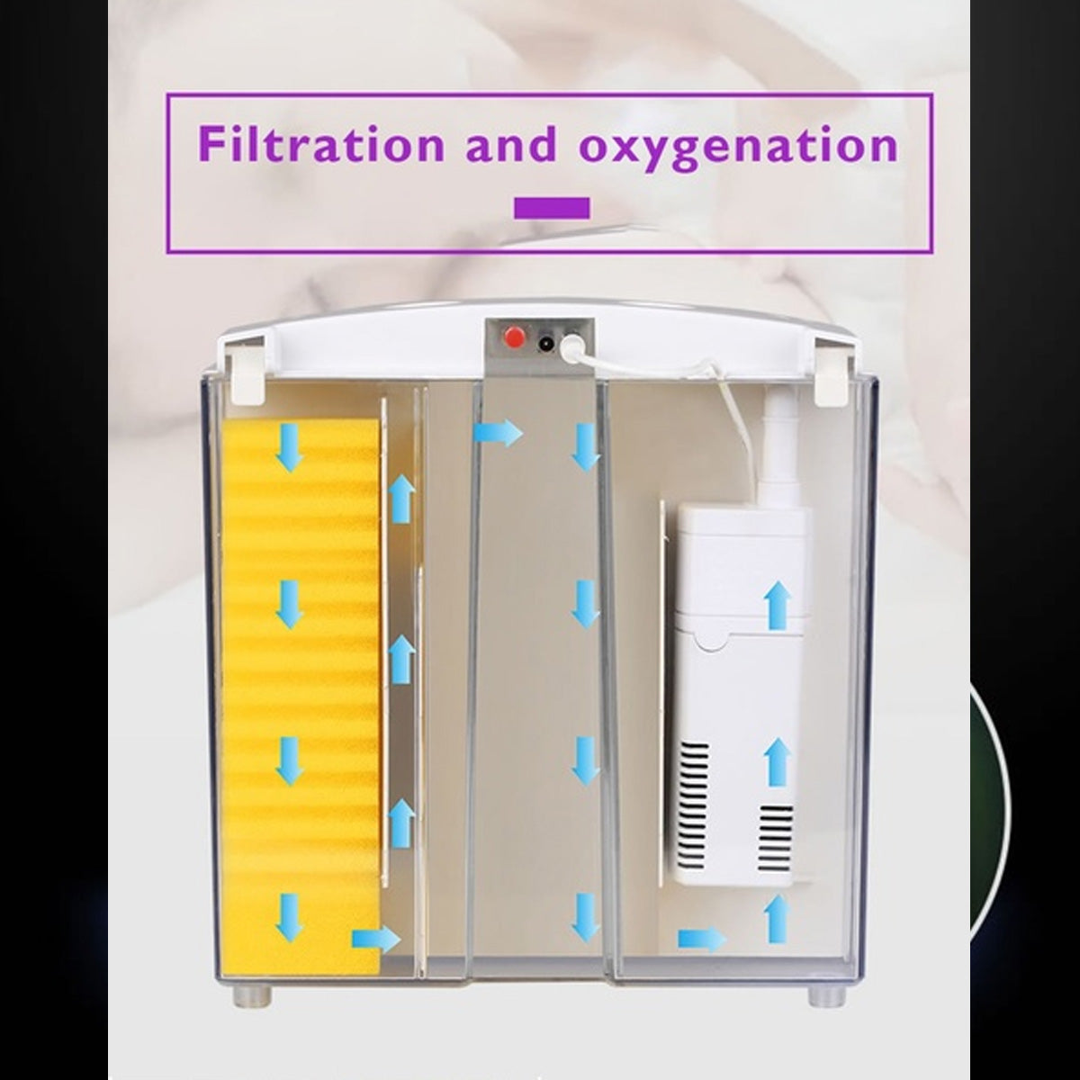 Ecological acrylic fish tank - Minihomy