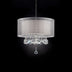 Chic Silver Ceiling Lamp with Crystal Accents and Silver Shade - Minihomy