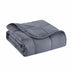 Grey Travel Weight Microfiber Throw Blanket - Minihomy