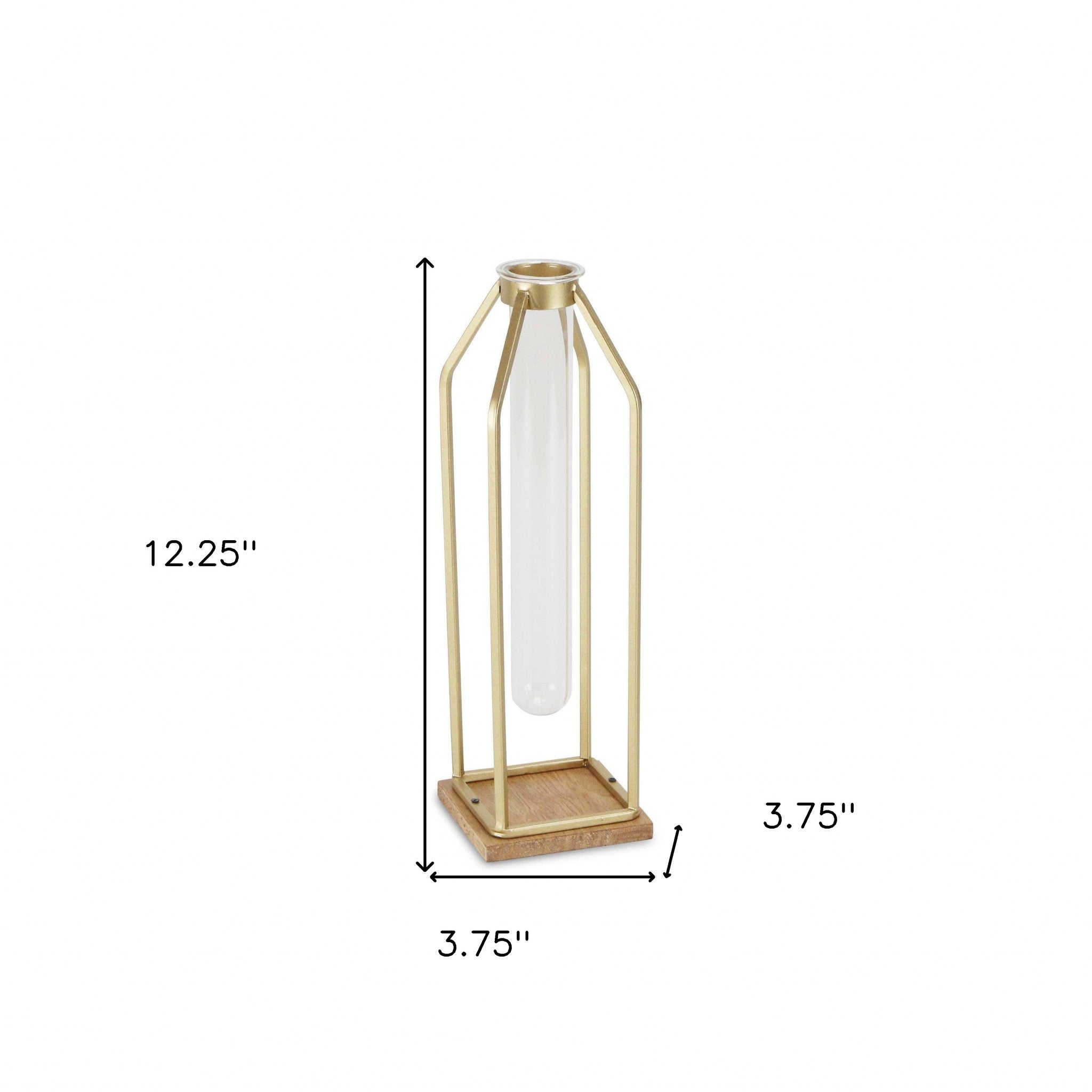 12" Gold And Clear Contemporary Glass Tube - Minihomy