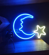 LED Neon Light Acrylic Back Panel Room Decoration Night Light - Minihomy