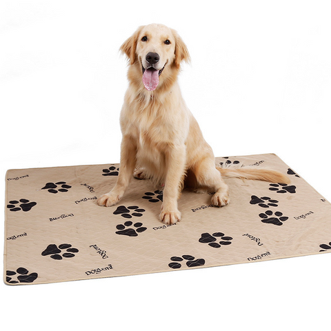 large washable pet dog pads