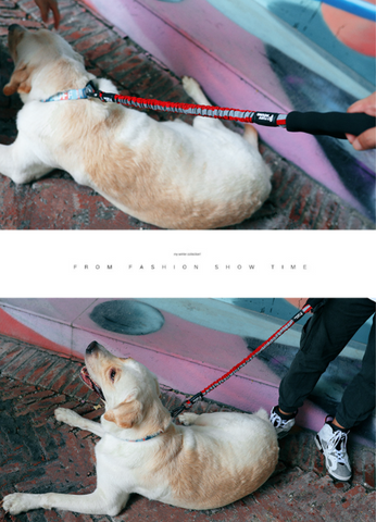 High Elastic Pet Leash For Small Medium And Large Dogs