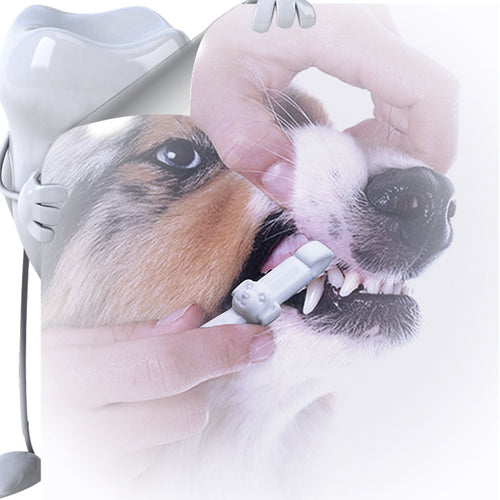 Pet Portable Tooth Cleaning Tool