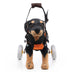 Pet Walking Dog Wheelchair Scooter - Minihomy