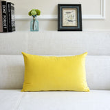 Sofa Velvet Throw Pillowcases Living room