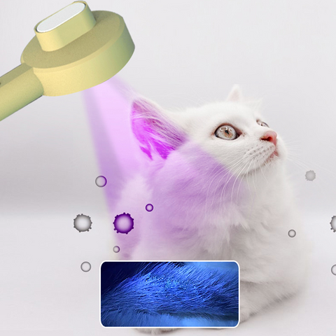Hoopet 2-In-1 Durable Functional Pet Comb Detector UVC Cat Moss Detection Lamp Dog Hair Remover Cat Brush Grooming Tools