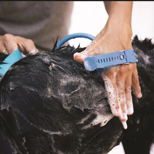 The Bathing Tool: This is a great name for a product that helps make bathing your pet easier and more comfortable