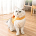 Nervous Cat Vest Traction Anti-Break Away Cat Walking Rope