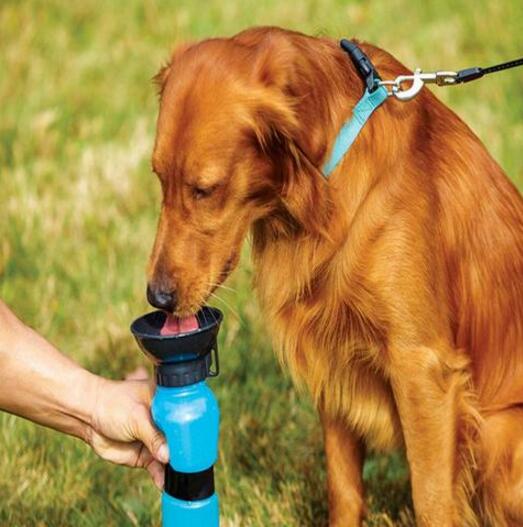 Portable Water Bottle Drinker For Pet Dogs - Minihomy