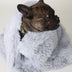 Pet Dog Cat Blankets - Minihomy