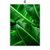 Home Decor Green Plant Canvas Painting - Minihomy