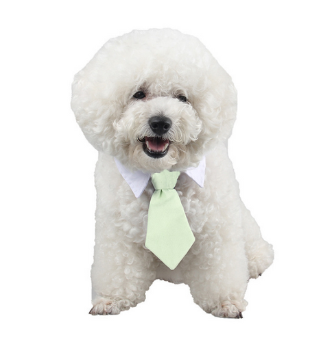 Pet bow tie tie child baby tie cartoon print small tie spot dog tie