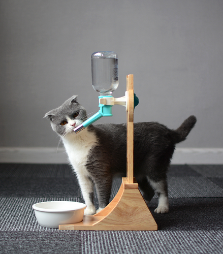 Cat Drinking Water Dispenser Drinking Fountains Cat Drinking Water Dog Drinking Water Pet Supplies Cat Kettle