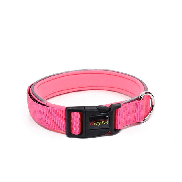 Diving material dog collar dog leash pet accessories - Minihomy