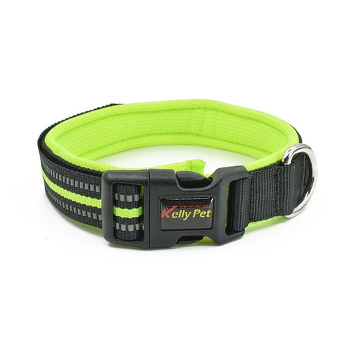 Diving material dog collar dog leash pet accessories
