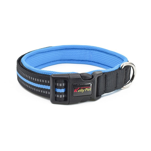 Diving material dog collar dog leash pet accessories