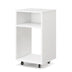 Mobile File Cabinet Wooden Printer Stand Vertical Storage Organizer-White - Minihomy