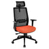 Ergonomic Office Chair with Lumbar Support and Adjustable Headrest-Black - Color: Black - Minihomy