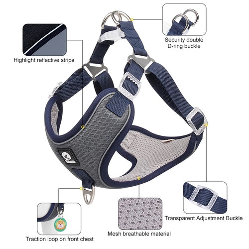 Breathable Mesh Dog Harness For Small And Medium Dogs