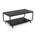 2-Tier Modern Marble Coffee Table with Storage Shelf for Living Room-Black - Minihomy