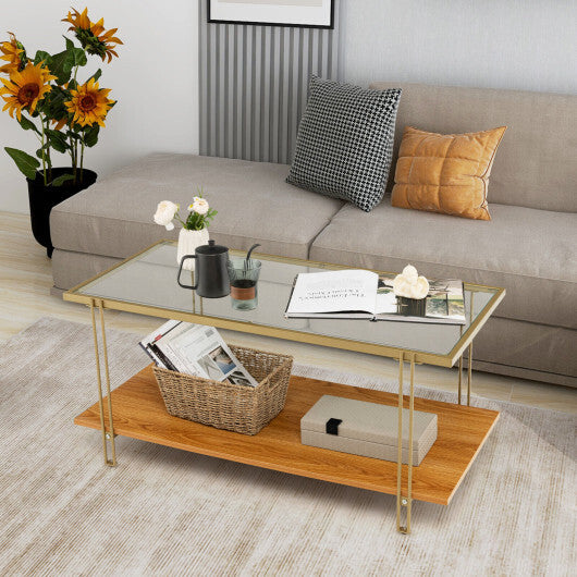 2 Tiers Rectangle Glass Coffee Table with White and Gold Steel Frame-Golden