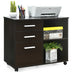 3-Drawer Mobile Lateral File Cabinet Printer Stand-Black - Minihomy