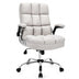 Adjustable Swivel Office Chair with High Back and Flip-up Arm for Home and Office-Beige - Color: Beige - Minihomy