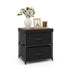 2-Drawer Nightstand with Removable Fabric Bins and Pull Handles-Black - Minihomy