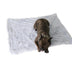 Plush mat double pet blanket - Minihomy