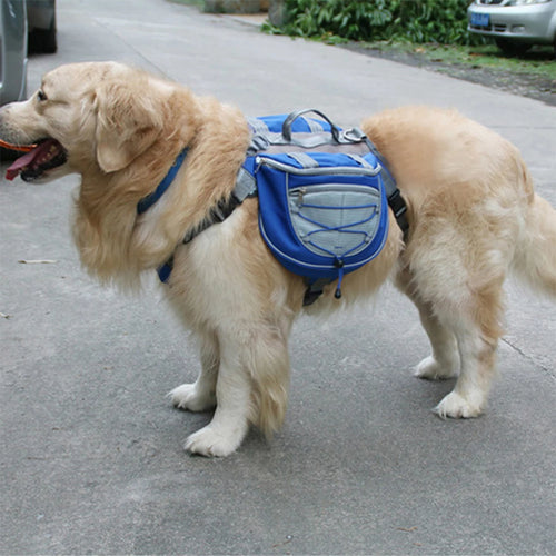 Pets from backpacks outdoor self-backing
