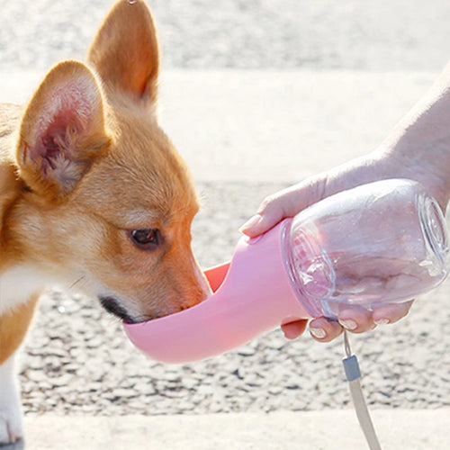 Pet Dual-use Water Cup For Dogs