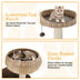 41 Inch Rattan Cat Tree with Napping Perch-Beige - Color: Beige - Minihomy