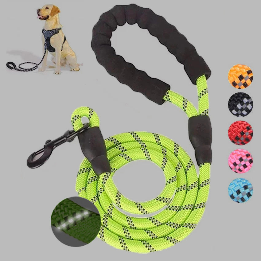 Small Medium Size Pet Dog Luminous Leash Chain Puppies