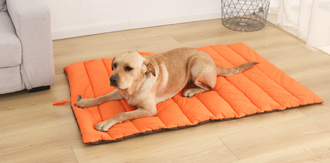 Waterproof And Bite-resistant Mat For Pets That Are Not Easy To Stick To Hair