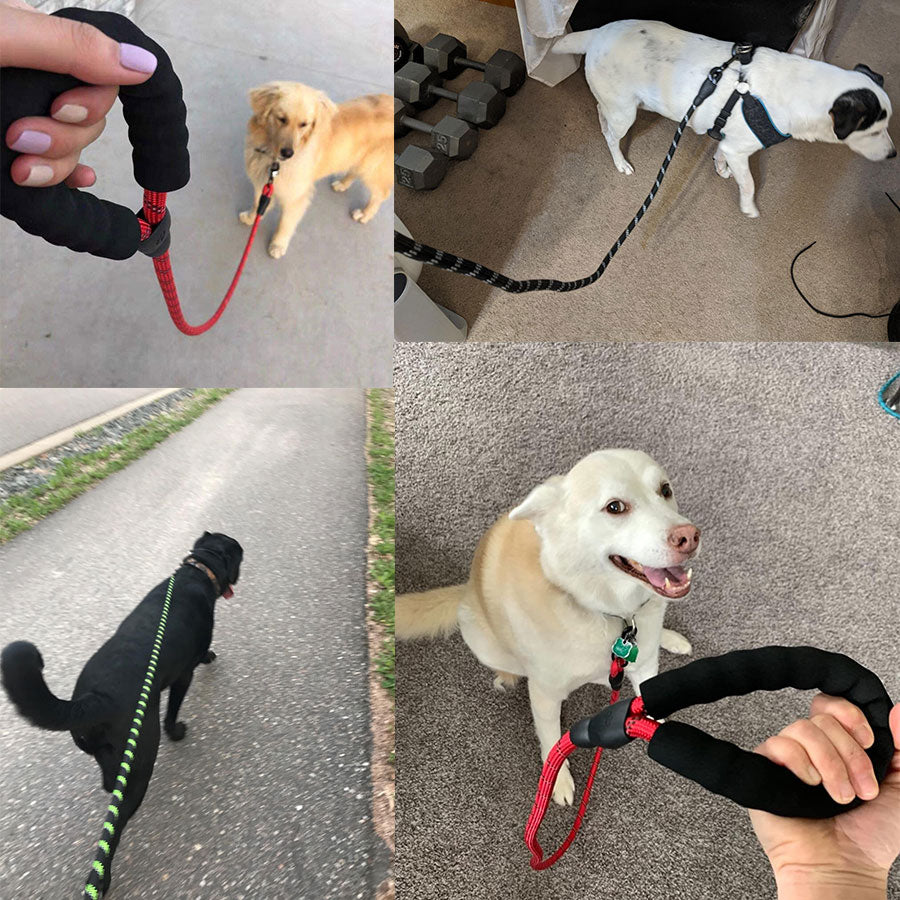 Small Medium Size Pet Dog Luminous Leash Chain Puppies
