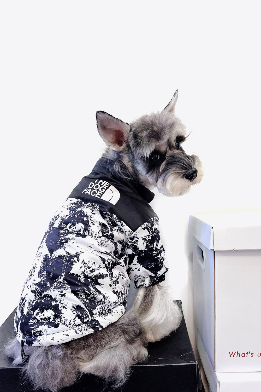 Printed Zip-Up Pet Puffer Jacket