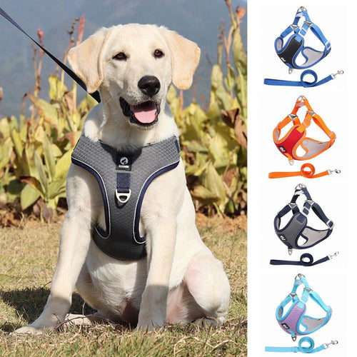 Breathable Mesh Dog Harness For Small And Medium Dogs
