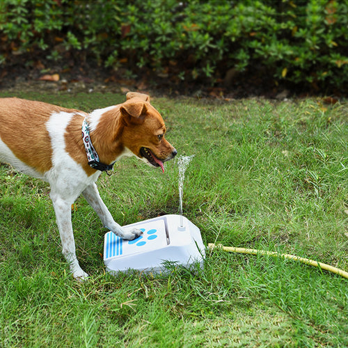 Outdoor Supplies Dog Water Feeder Intellectual Toys
