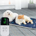 Electric Heating Blanket For Kittens And Heating Pads For Dogs - Minihomy