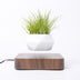 Magnetic Suspension Floating Pot Potted Plant Home Desk Decor - Minihomy