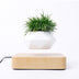 Magnetic Suspension Floating Pot Potted Plant Home Desk Decor - Minihomy